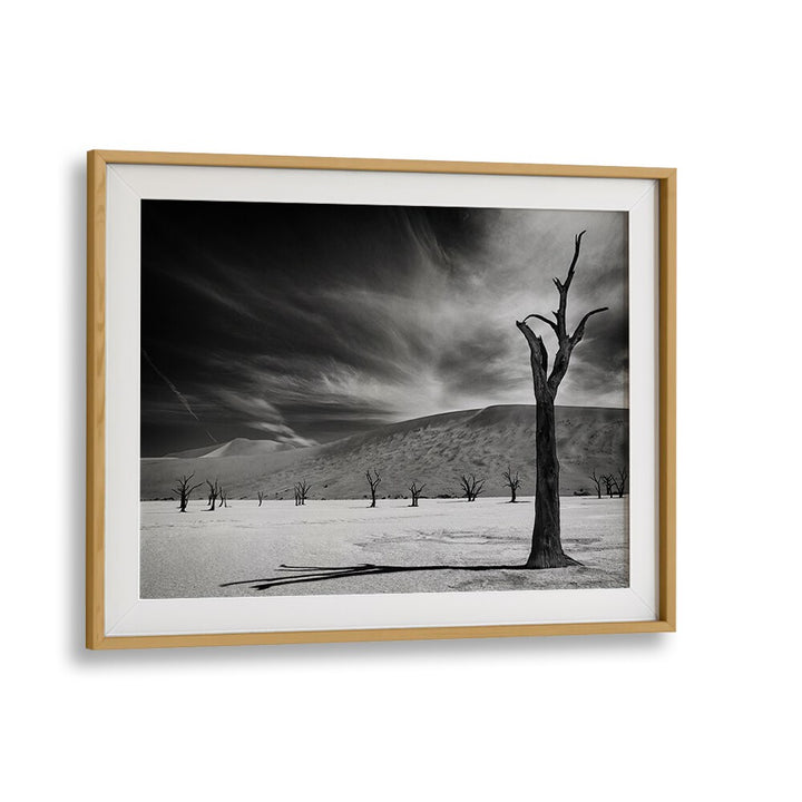 Stunning black and white landscape featuring a lonely tree, ideal for THE ARMY OF THE DEAD, PHOTOGRAPHY PRINTS collection.