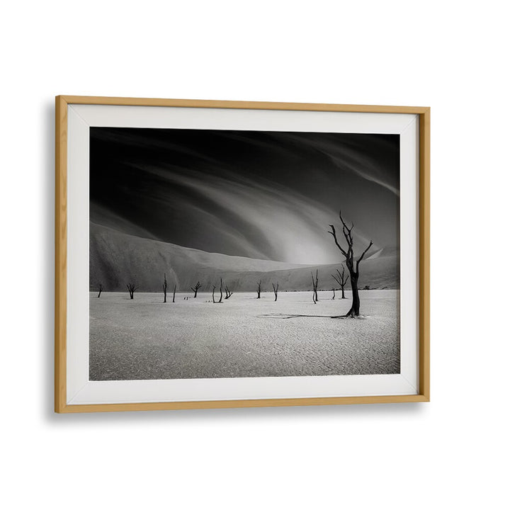 Stunning black and white landscape featuring trees, perfect for FOLLOW ME MY FRIENDS, PHOTOGRAPHY PRINTS collection.