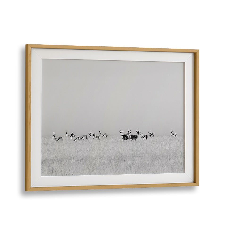 Stunning SENTINEL GAZELLES, PHOTOGRAPHY PRINTS capturing majestic wildlife in a serene landscape, perfect for any decor.