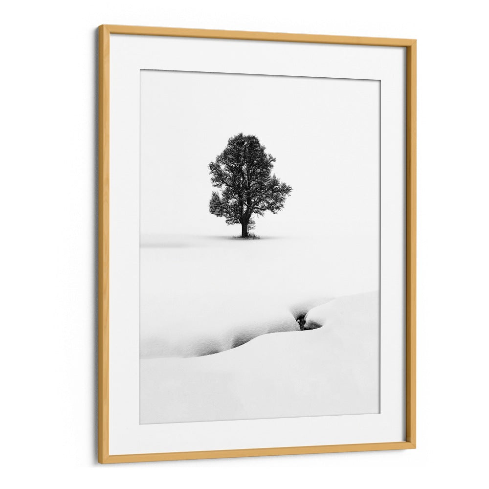 LE SOLITAIRE BY MARC PELISSIER , LANDSCAPE PHOTO PRINTS