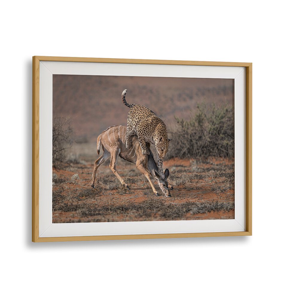 Leopard hunting fine art print showcasing the elegance of nature's predator, perfect for wildlife enthusiasts.