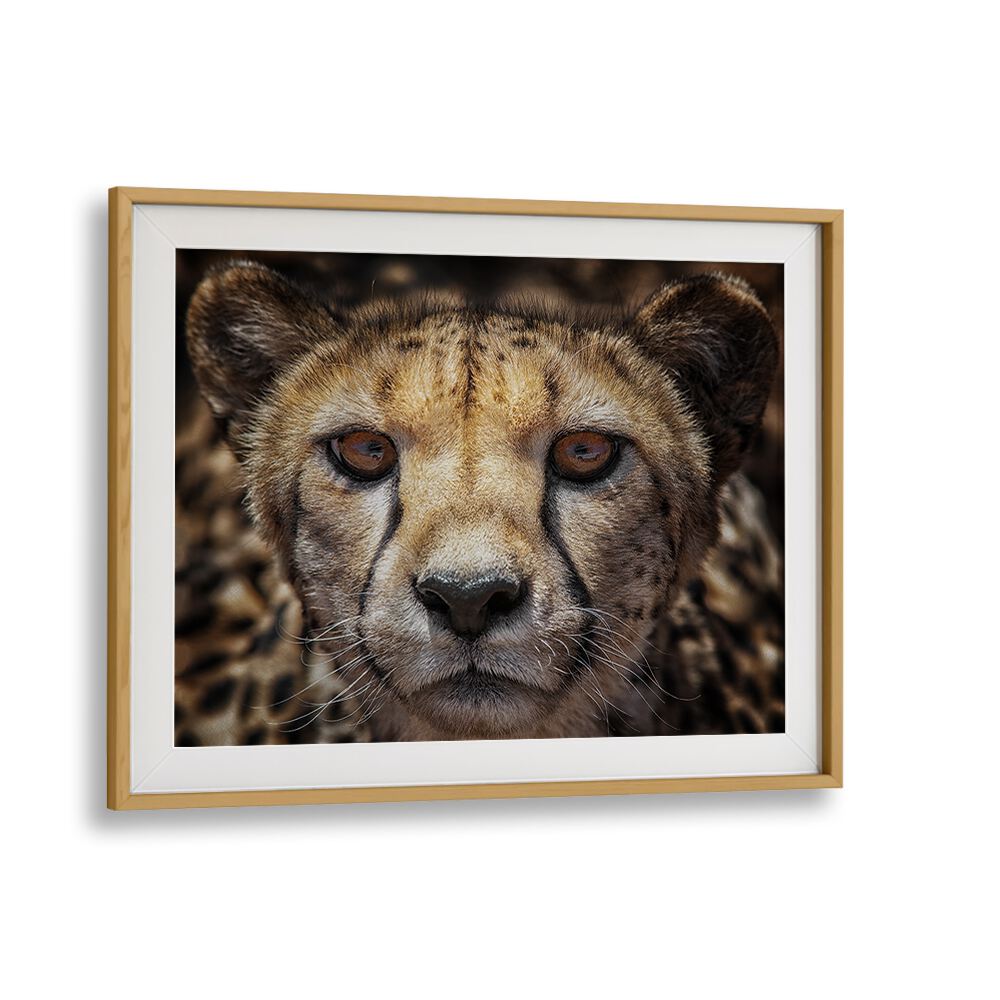 Stunning YOU KNOW WHAT, PHOTOGRAPHY PRINTS featuring a close-up of a majestic cheetah in a sleek frame.