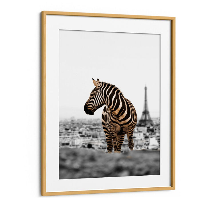 Stunning NO WAY HOME, ANIMAL PAINTINGS artwork featuring a zebra against a Parisian backdrop, perfect for adventurous spaces.