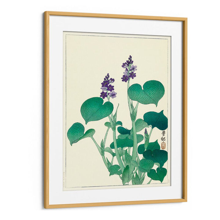 BLOOMING HOSTA (1920 - 1930)  , JAPANESE PAINTINGS , JAPANESE ART PRINTS