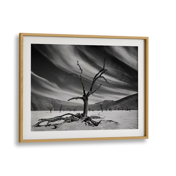 Stunning black-and-white landscape featuring a solitary tree from THE SUPERVISOR, PHOTOGRAPHY PRINTS collection.