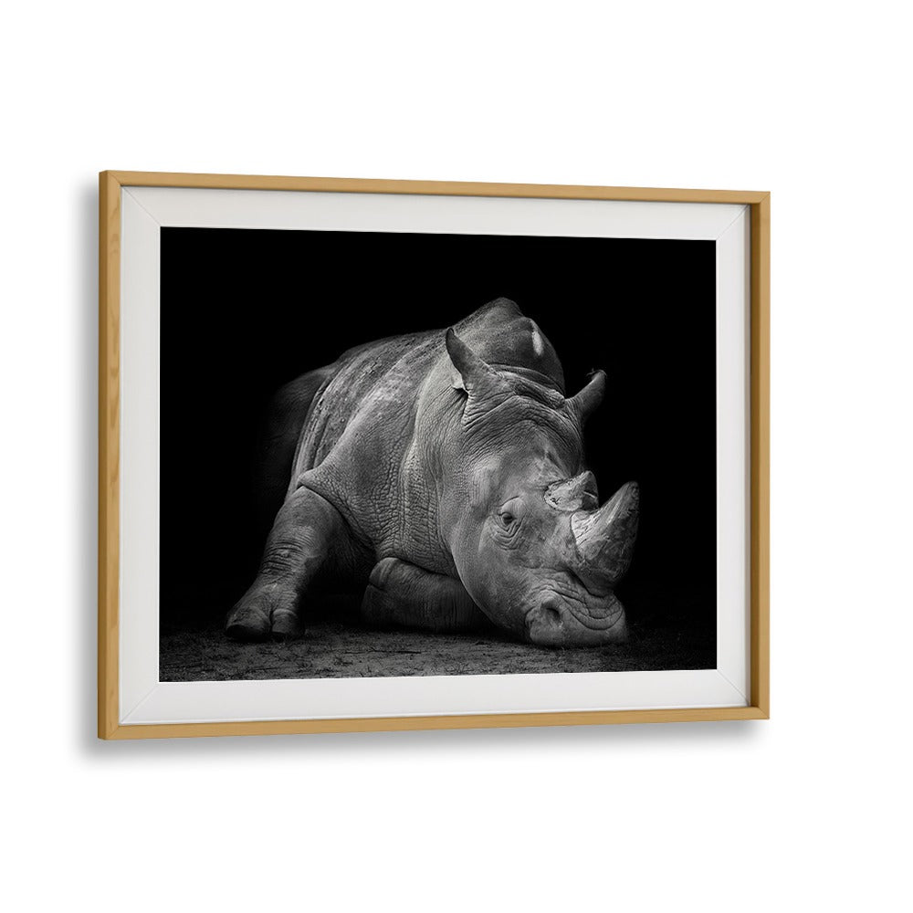 Captivating DEFEATED, PHOTOGRAPHY PRINTS featuring a weary rhinoceros, symbolizing wildlife struggles by Fegari.