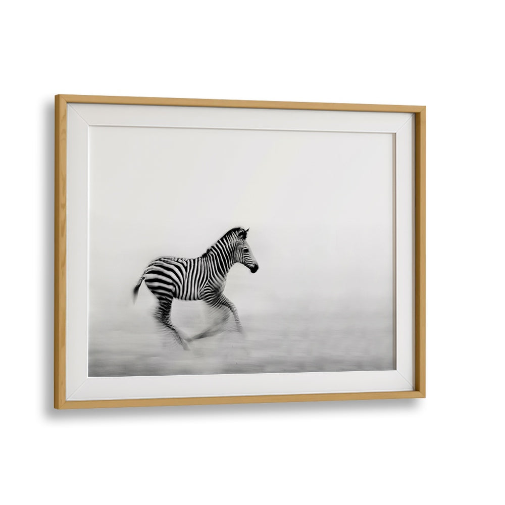 ZEBRA RUN, PHOTOGRAPHY PRINTS showcasing a zebra in motion, capturing the essence of nature's beauty.