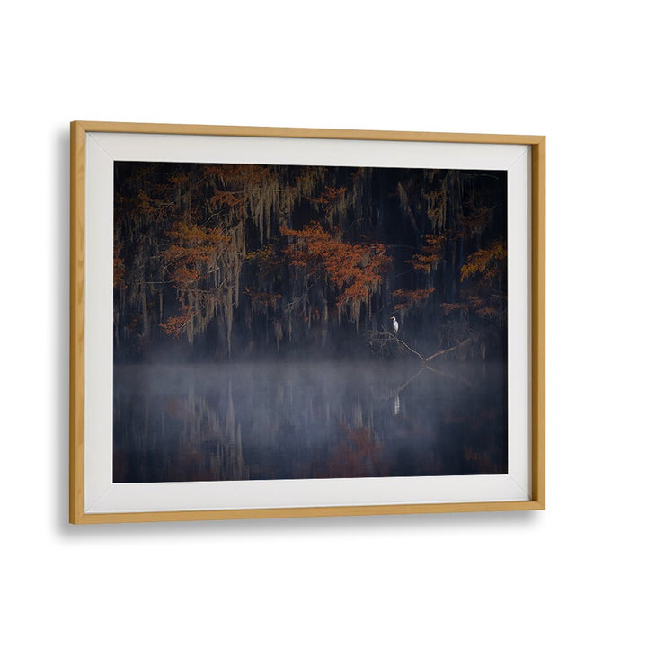 Serene "Misty Morning" photography prints showcasing a tranquil landscape with fog and autumn leaves, perfect for any decor.