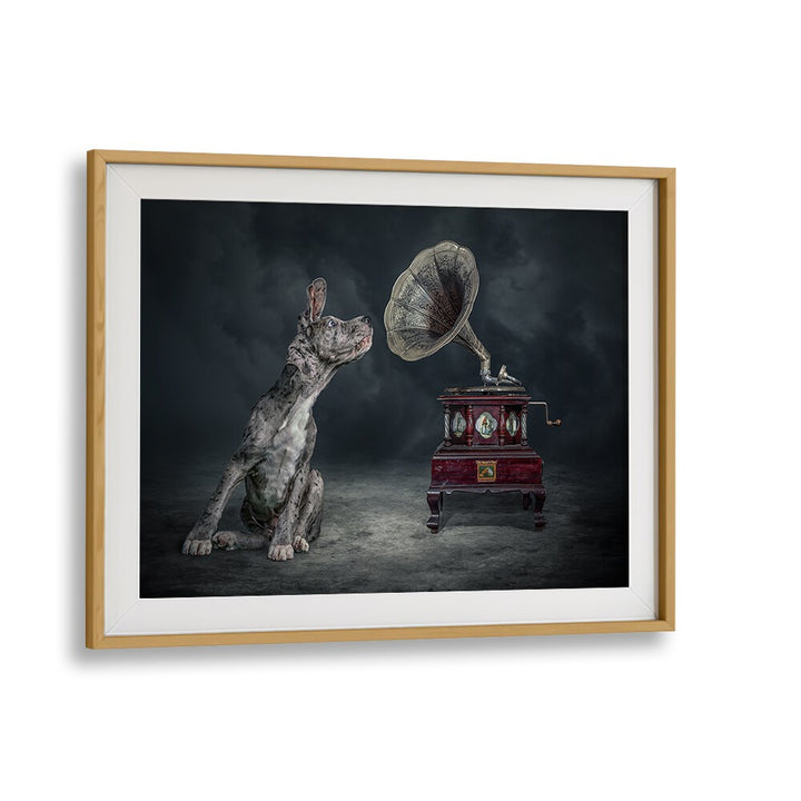 Surreal MUSIC DOG photography prints featuring a dog and vintage gramophone, perfect for art lovers.
