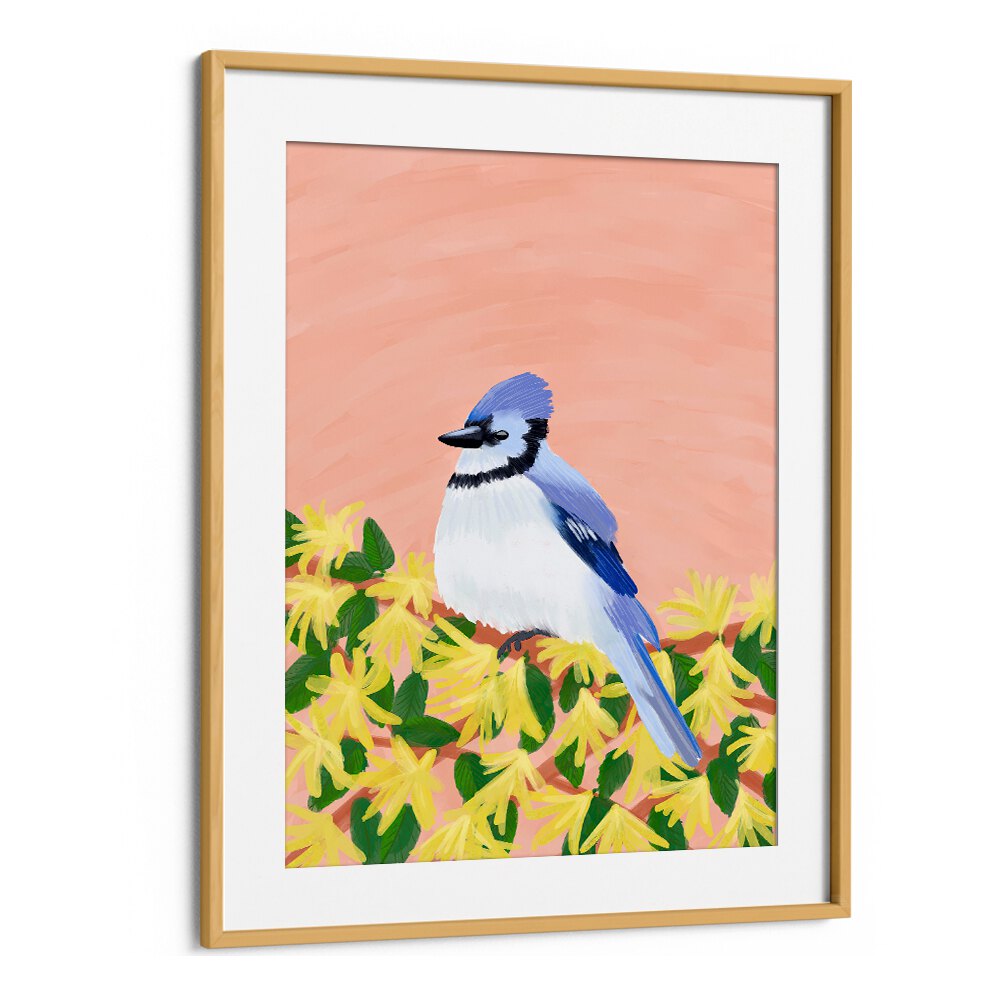 BLUE JAY BIRD , WILDLIFE PAINTINGS , WILDLIFE POSTERS