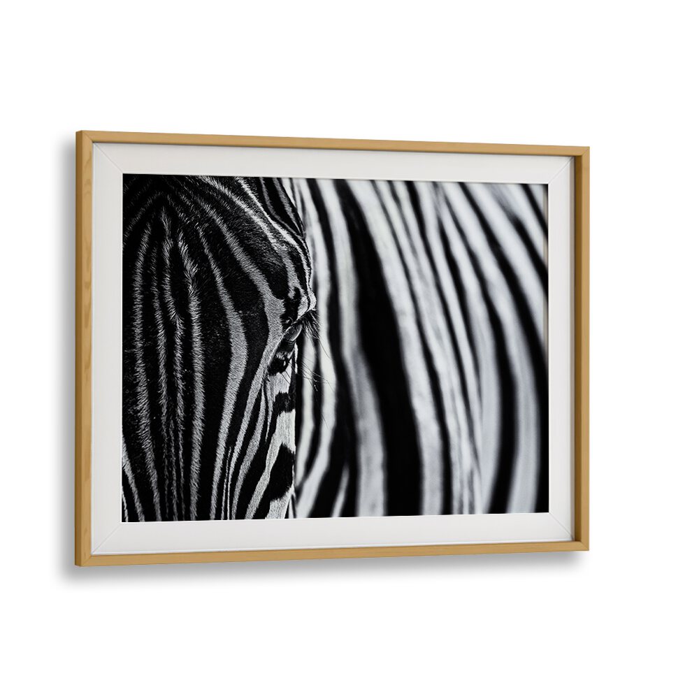 Black and white zebra art print from THE LOOK OF NATURE, PHOTOGRAPHY PRINTS collection, capturing nature's beauty.