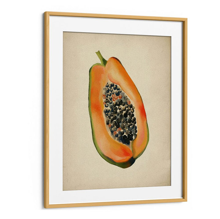 VINTAGE FRUIT- PAPAYA, KITCHEN POSTERS showcasing a vibrant papaya slice, perfect for enhancing tropical kitchen decor.
