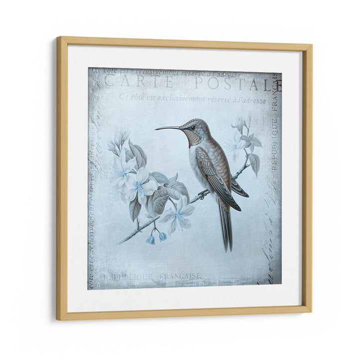 HUMMINGBIRD  ROMANCE AQUA BLUE BY ANDREA HAASE , WILDLIFE POSTERS, WILDLIFE PAINTINGS