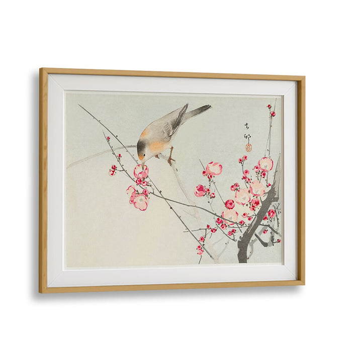 SONGBIRD ON BLOSSOM BRANCH (1900 - 1936)  , JAPANESE PAINTINGS , JAPANESE ART PRINTS