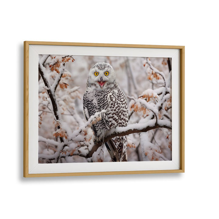 Majestic Snow Owl perched on a snowy branch, perfect for wildlife lovers. Explore SNOW OWL, PHOTOGRAPHY PRINTS today!