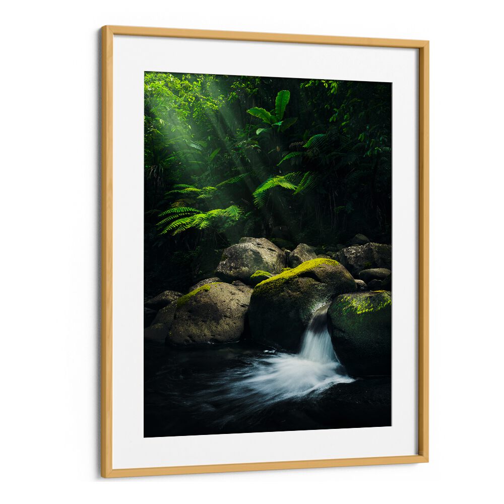 MYSTIC JUNGLE , LANDSCAPE PHOTO PRINTS , LANDSCAPE PHOTOGRAPHY