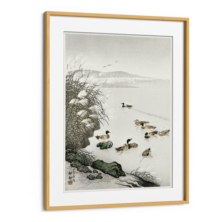 DUCKS IN THE WATER (1931)  , JAPANESE PAINTINGS , JAPANESE ART PRINTS