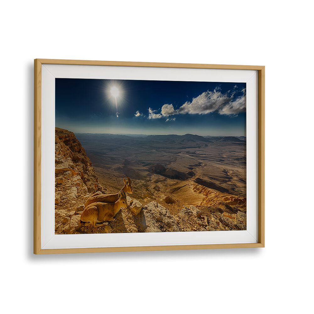 Serene landscape featuring a morning view with wildlife, perfect for home decor as MORNING VIEW, PHOTOGRAPHY PRINTS.