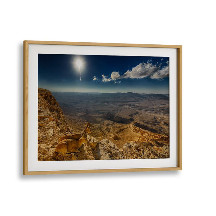 Serene landscape featuring a morning view with wildlife, perfect for home decor as MORNING VIEW, PHOTOGRAPHY PRINTS.