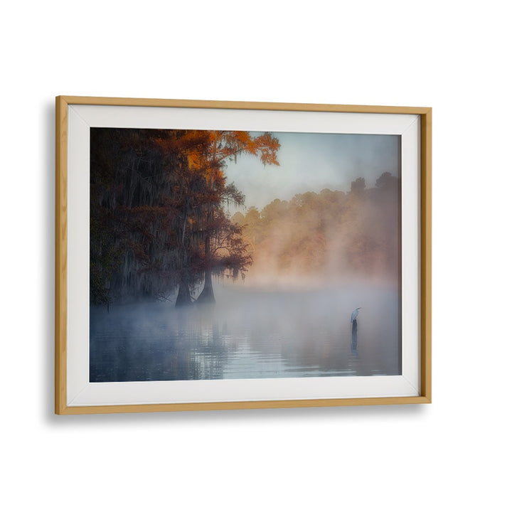 A TRANQUIL MORNING AT CADDO LAKE BY MICHAEL ZHENG , LANDSCAPE PHOTO PRINTS