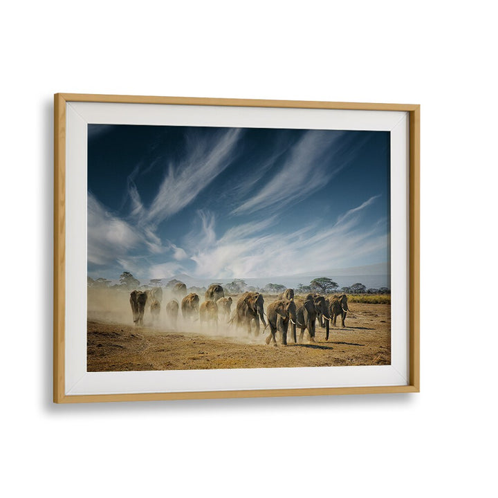 Capture the essence of nature with A VERY LONG THINKING, PHOTOGRAPHY PRINTS, featuring majestic elephants in stunning detail.