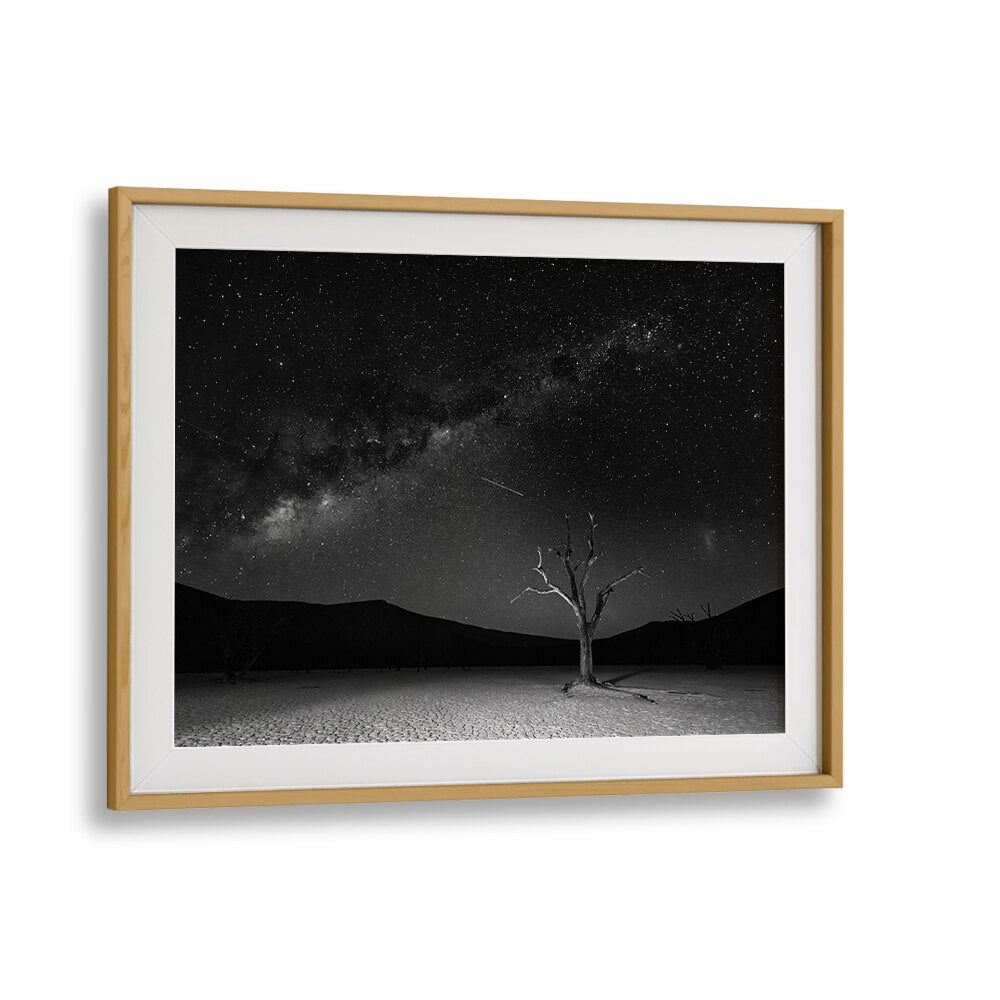 Stunning ORIGINS, PHOTOGRAPHY PRINTS featuring the Milky Way above Deadvlei, Namibia by Fegari. Perfect for cosmic lovers.