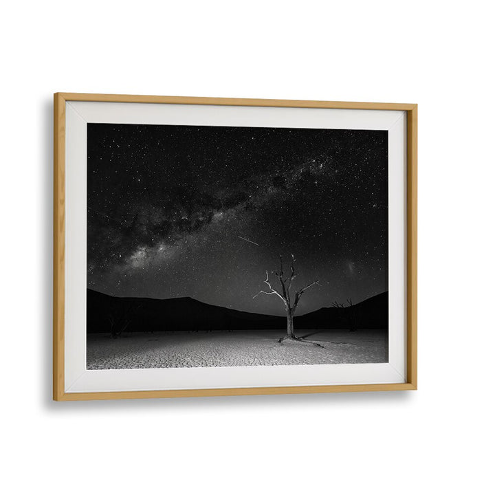 Stunning ORIGINS, PHOTOGRAPHY PRINTS featuring the Milky Way above Deadvlei, Namibia by Fegari. Perfect for cosmic lovers.