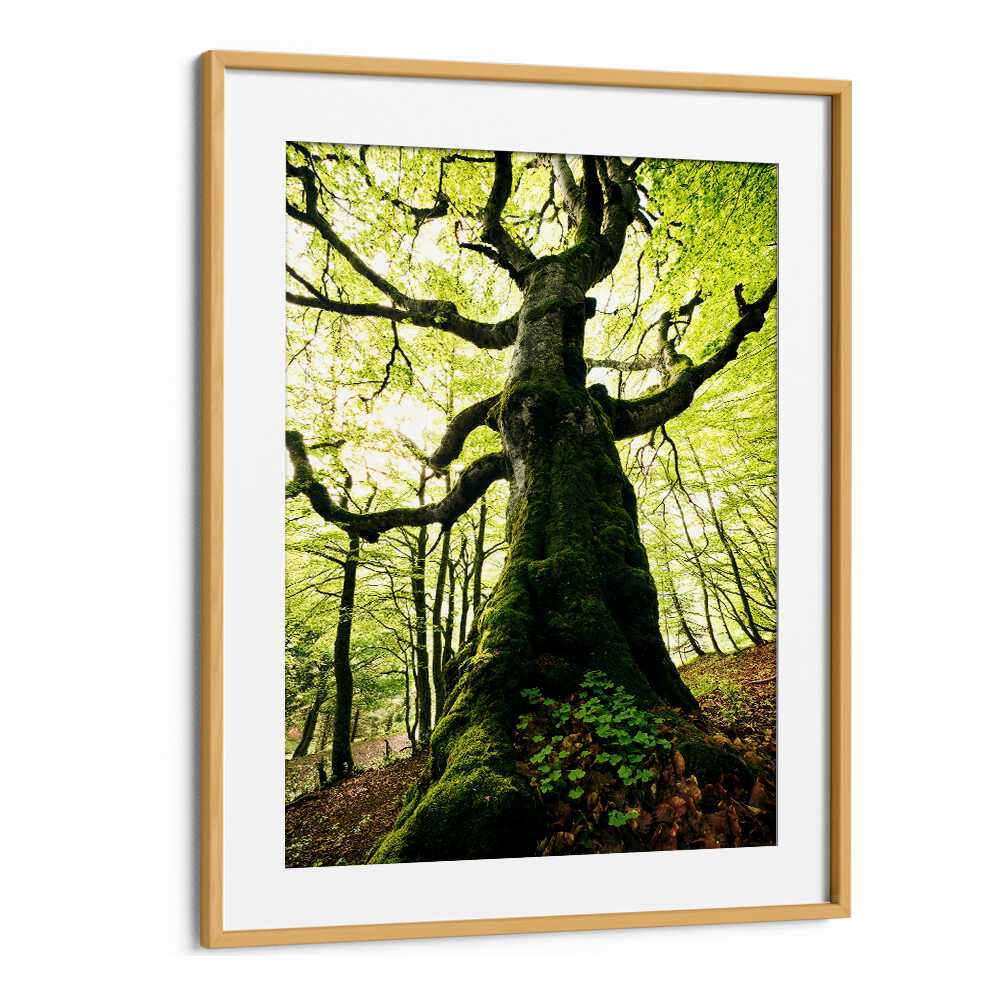 ENT BY STEFAN HEFELE , LANDSCAPE PHOTO PRINTS