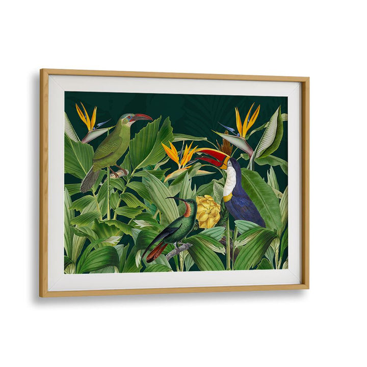 RAINFOREST BIRDS BY ANDREA HAASE , WILDLIFE POSTERS, WILDLIFE PAINTINGS