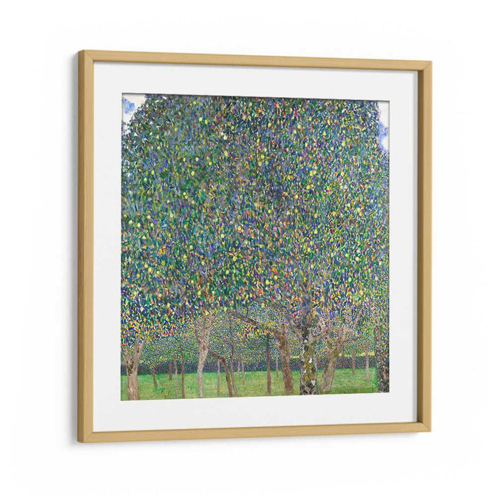 PEAR TREE (1903) , VINTAGE PAINTINGS