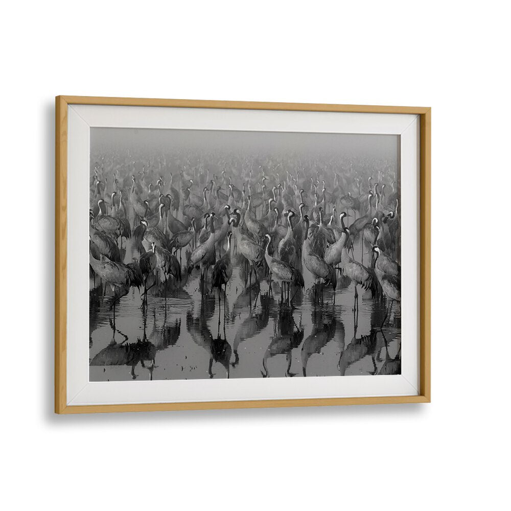 CROSSPOINT, PHOTOGRAPHY PRINTS showcase stunning black-and-white cranes in a serene setting, perfect for art lovers.