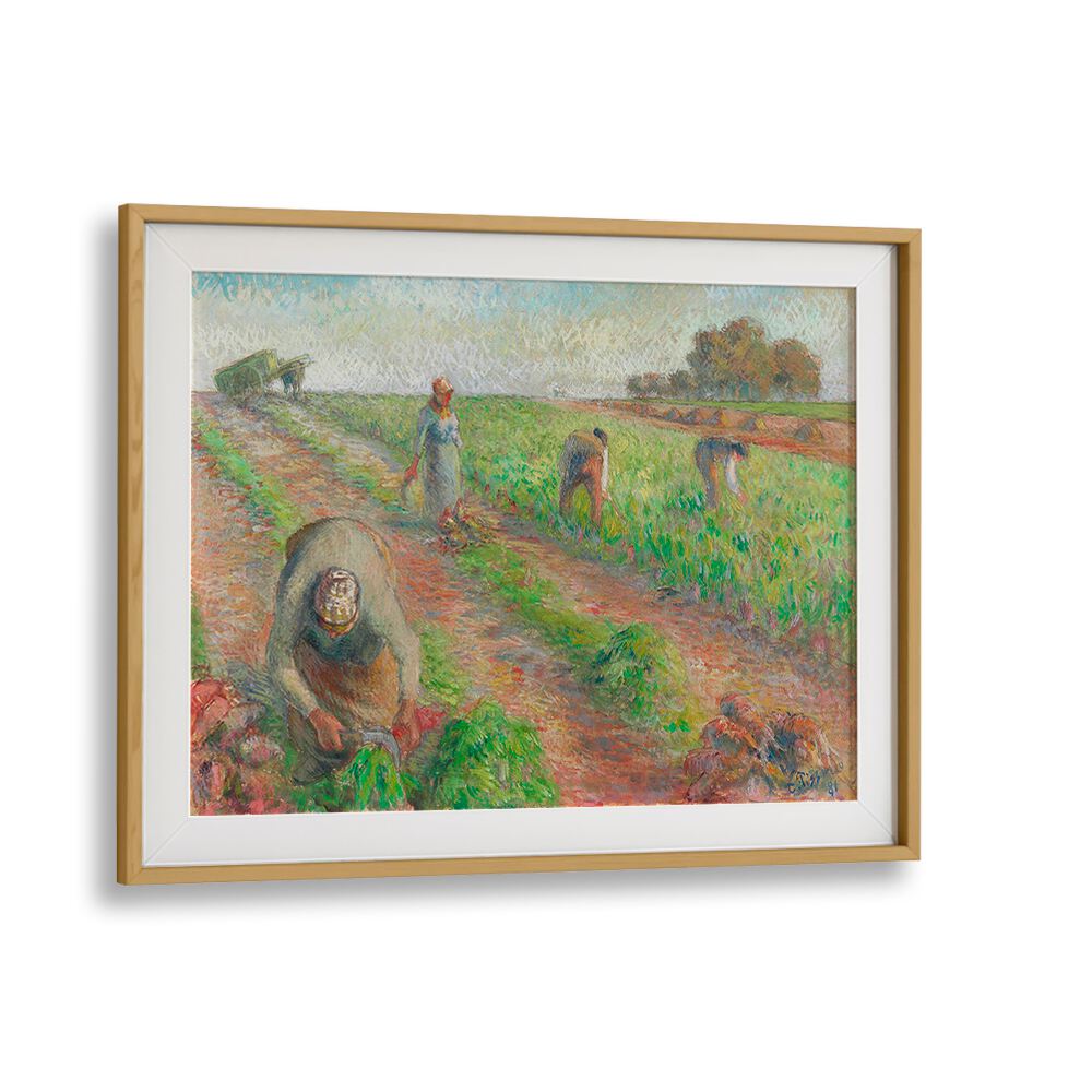 THE BEET HARVEST (1881)  , VINTAGE PAINTINGS