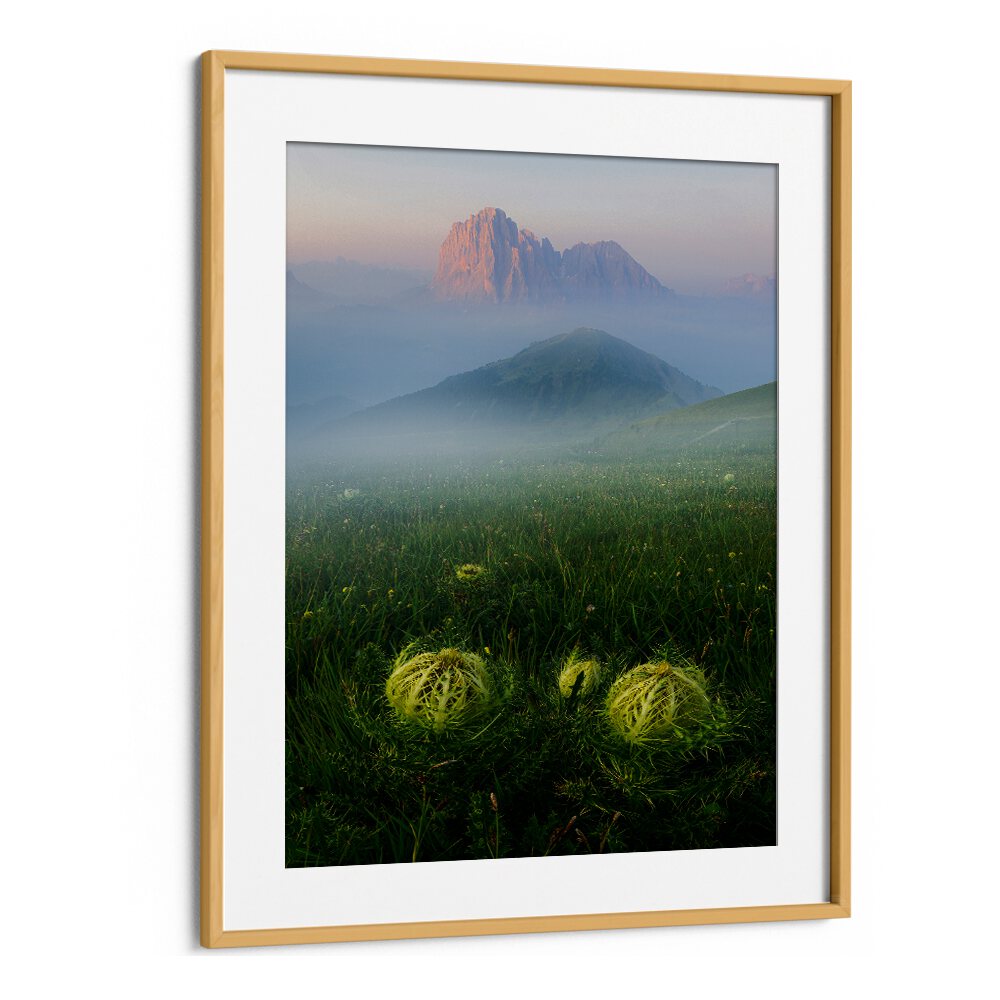 PROTECTION OF THE ALPS , LANDSCAPE PHOTO PRINTS