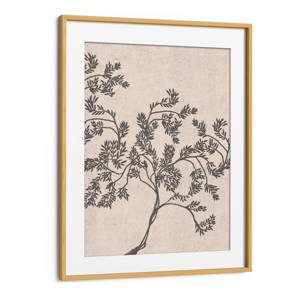 ACACIA NILOTICA , FLORAL FLOWER PAINTINGS