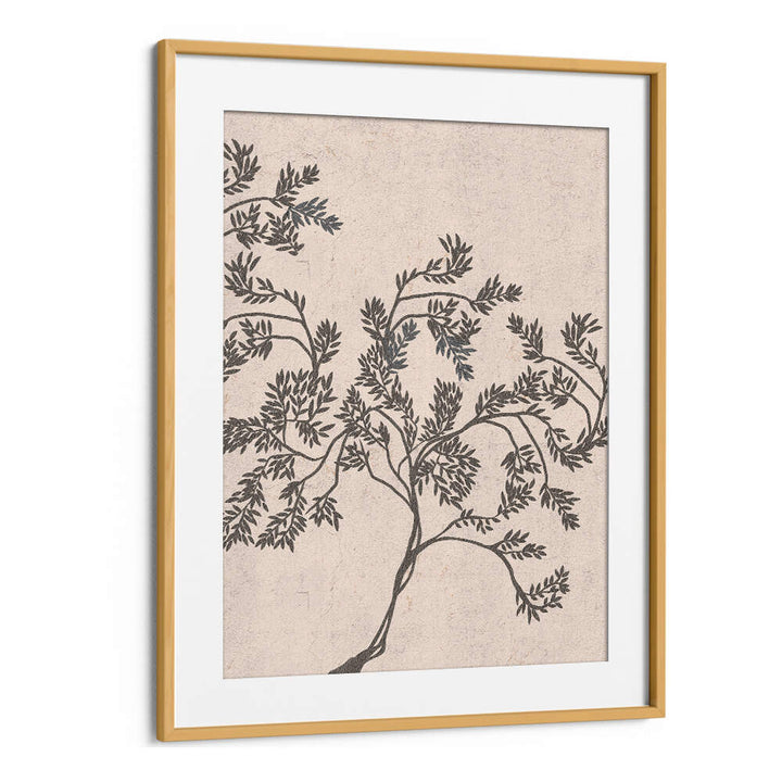 ACACIA NILOTICA , FLORAL FLOWER PAINTINGS