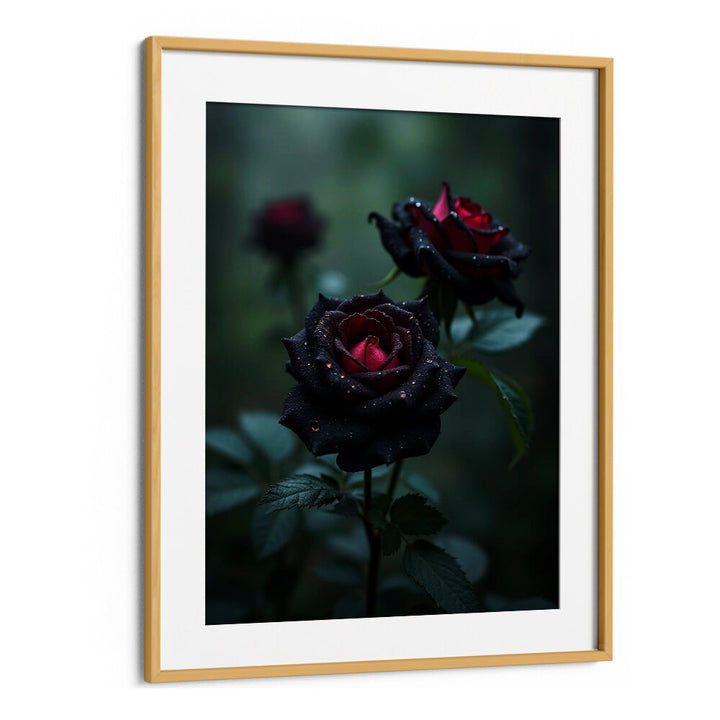 BLACK ROSES