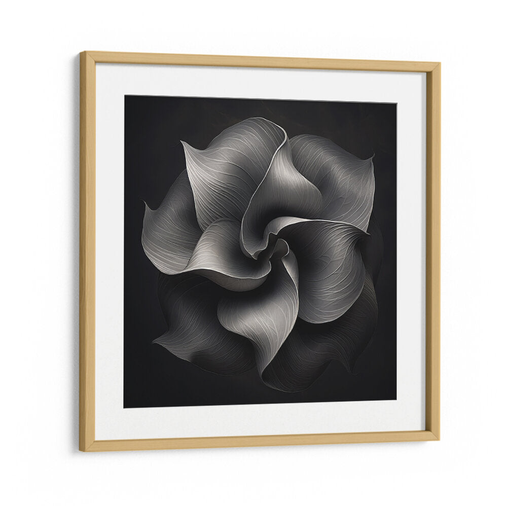 BLACK AND WHITE FLOWER V , ORGANIC FORMS