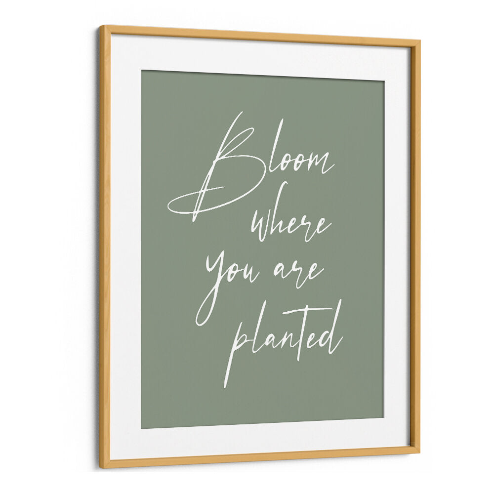 BLOOM , QUOTES & TYPOGRAPHY POSTERS