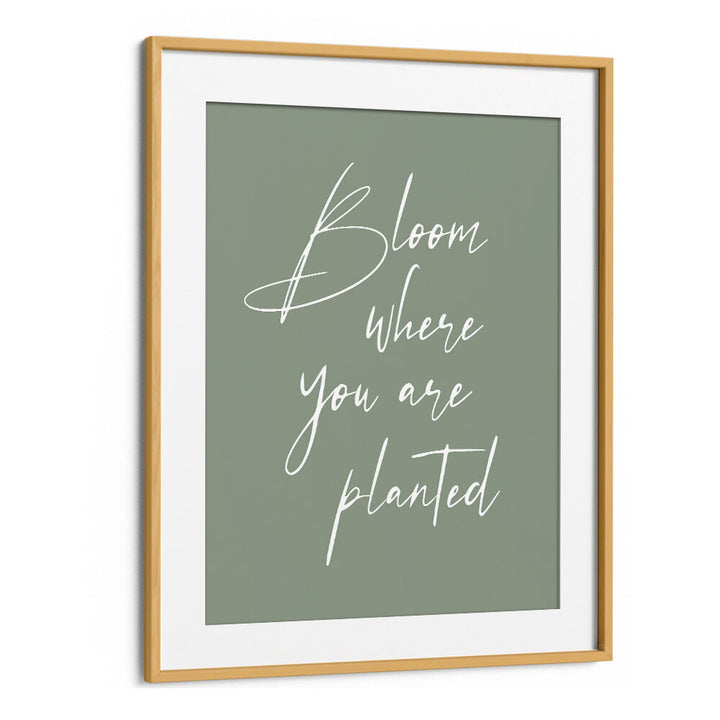 BLOOM , QUOTES & TYPOGRAPHY POSTERS