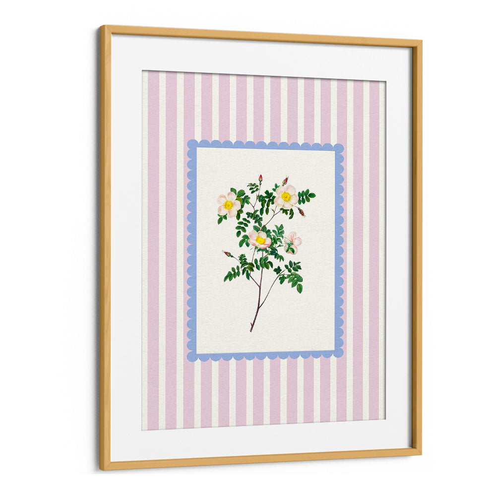 BLUSH WILD ROSE STUDY