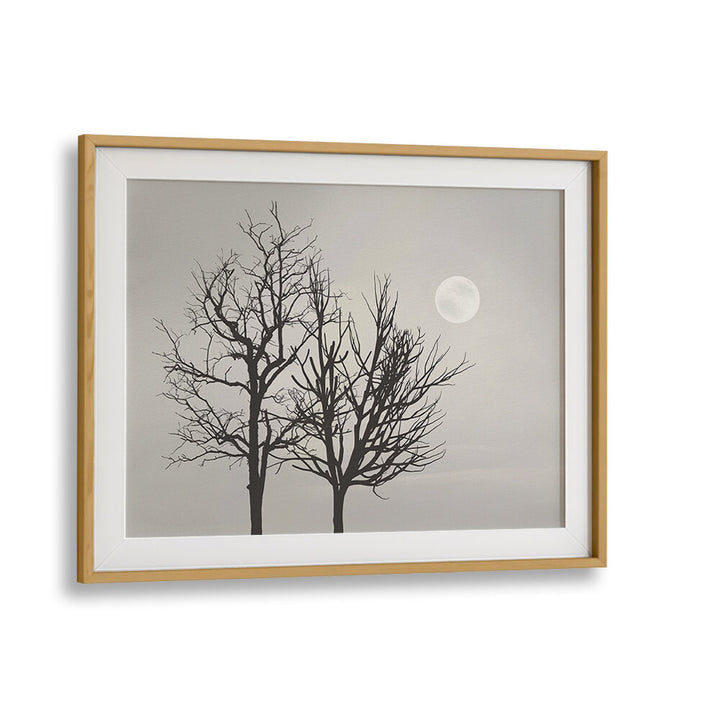 BRIGHT MOON LIGHT , LANDSCAPE PAINTINGS