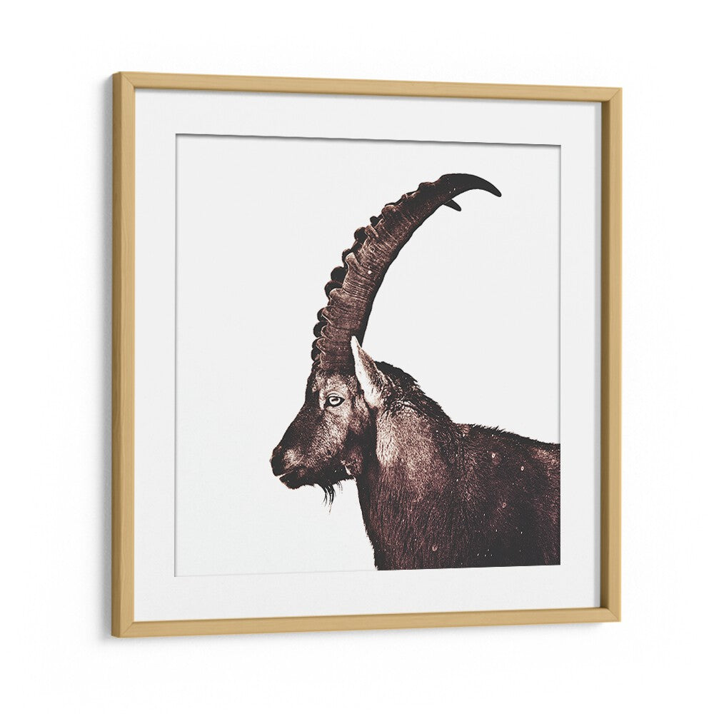 Majestic Capricorn in Snow animal paintings, capturing wild beauty and elegance in stunning abstract decor.