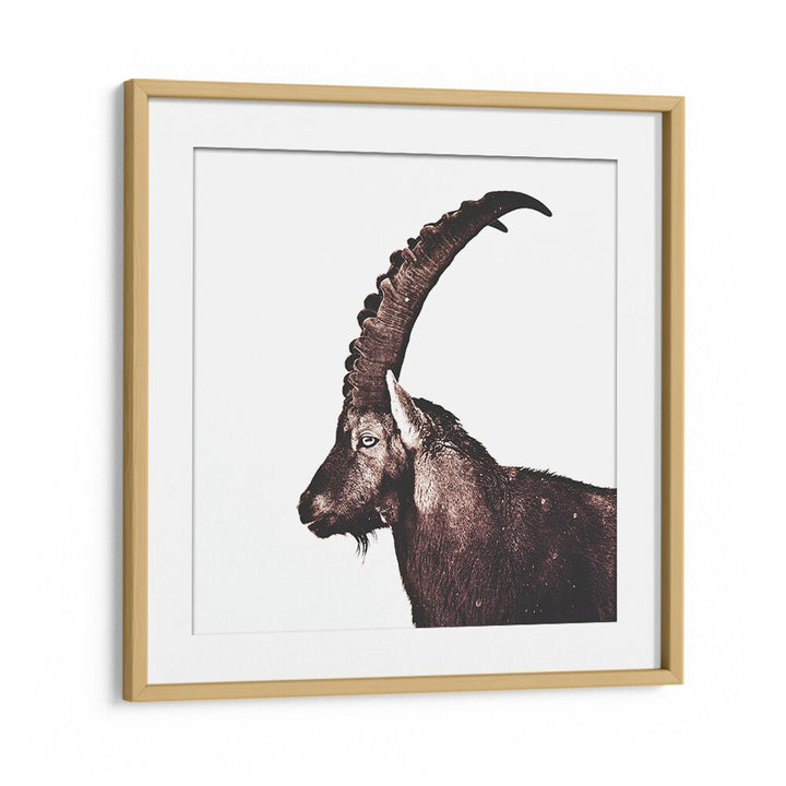 Majestic Capricorn in Snow animal paintings, capturing wild beauty and elegance in stunning abstract decor.