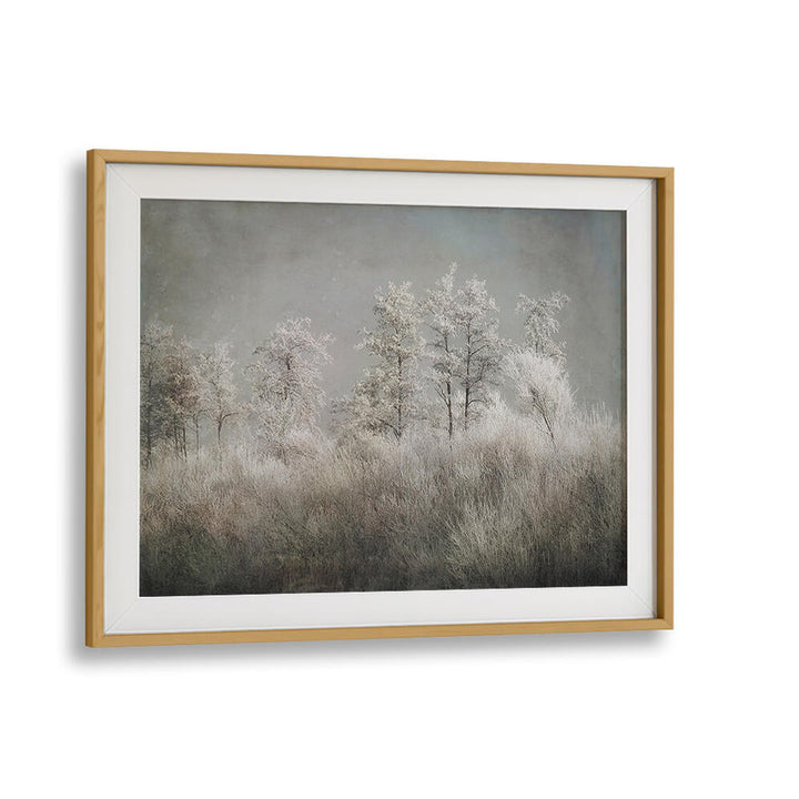 COLD MORNING , FLORAL FLOWER PAINTINGS