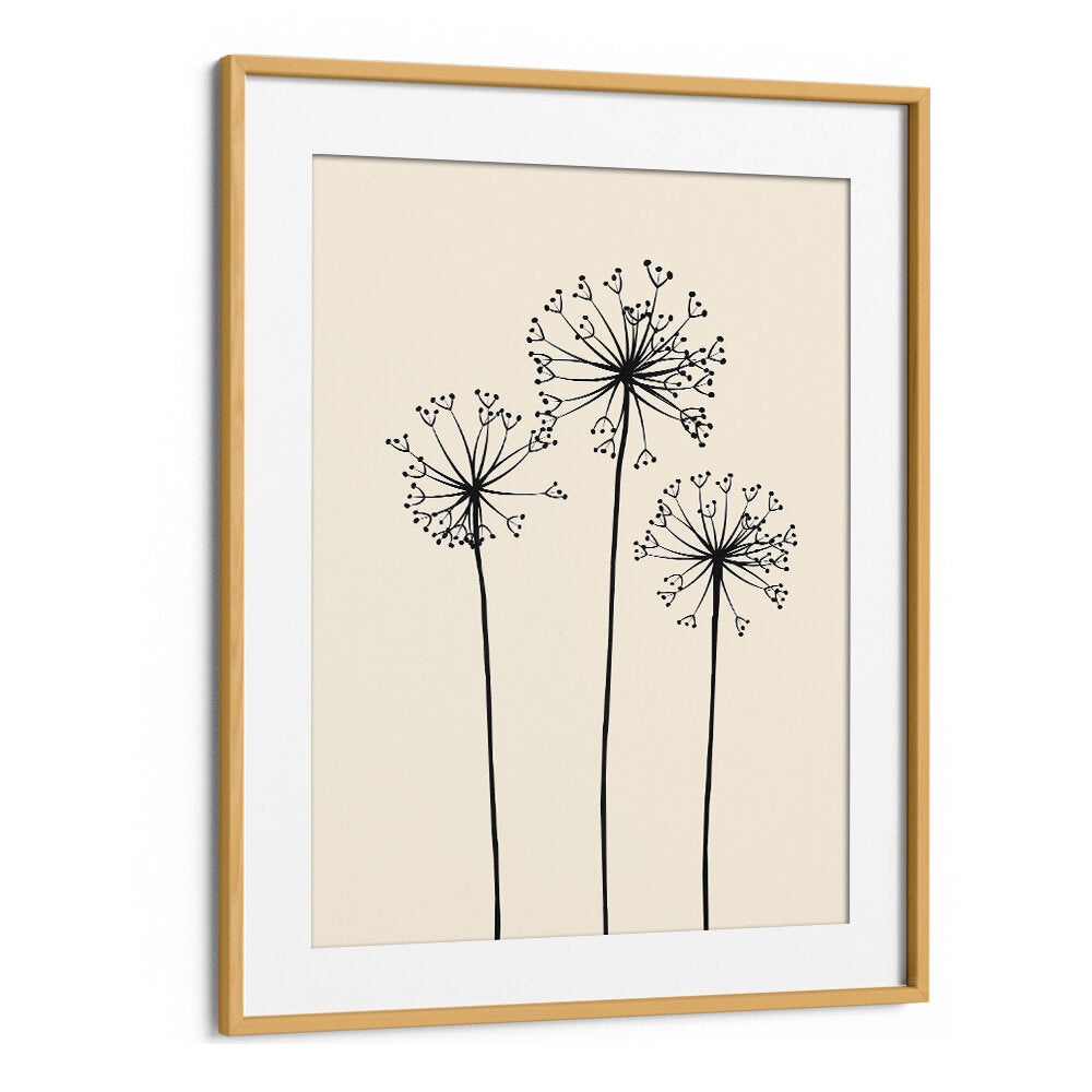 DANDELIONS V