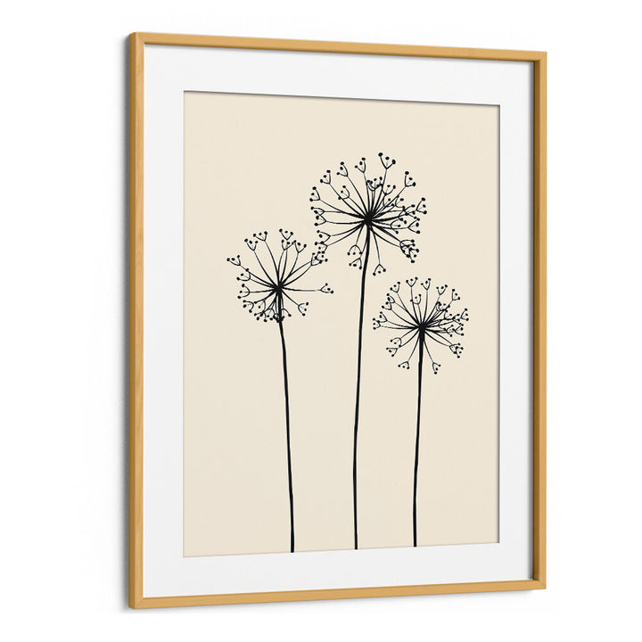 DANDELIONS V