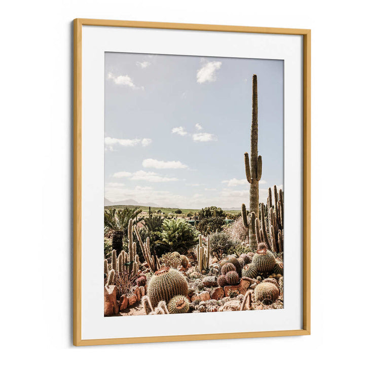 DESERT SYMPHONY , COWBOY desert cactus landscape print with tall saguaro and barrel cacti — Oakwood Mount wall art