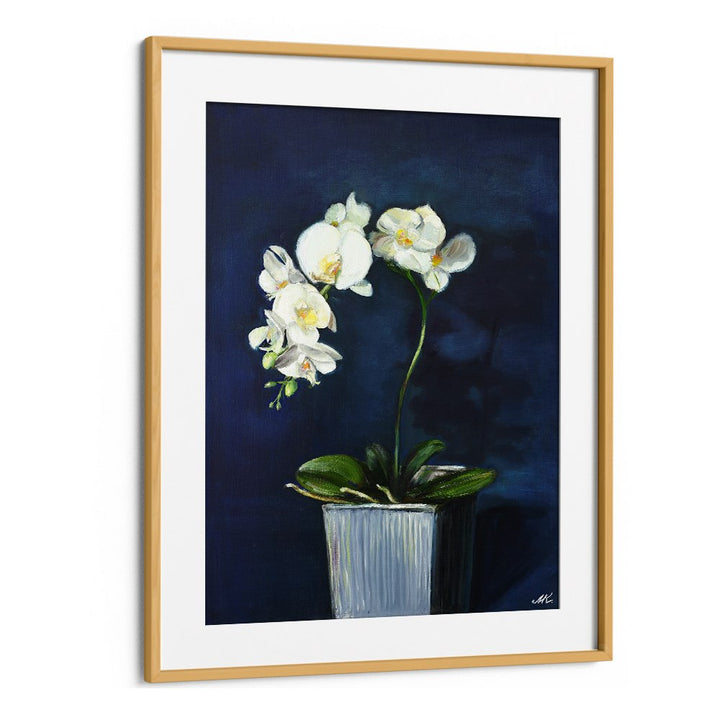 ELEGANT WHITE ORCHIDS