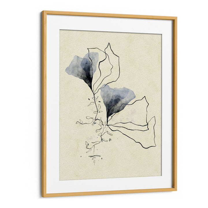 ETHEREAL MARINE BOTANICALS