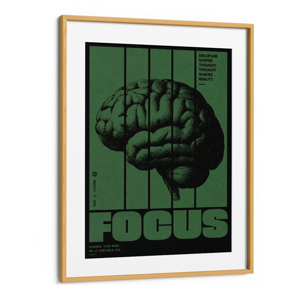 FOCUS - VI